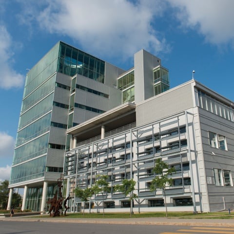 Cirque du Soleil announces the appointment of Mark Cornell as president and chief executive officer