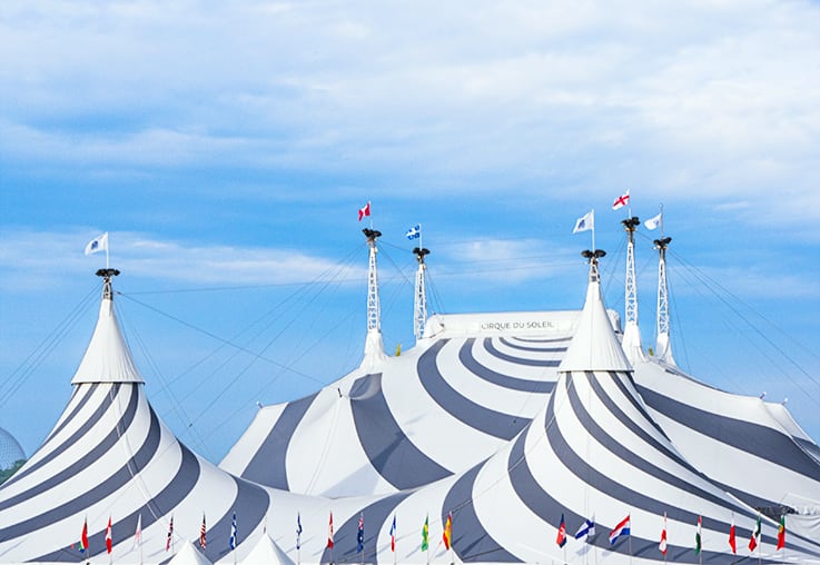 Cirque du soleil on sale tent