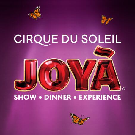 Shows & Tickets  Cirque du Soleil
