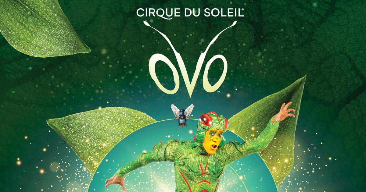 OVO : Touring Show. See tickets and deals | Cirque du Soleil