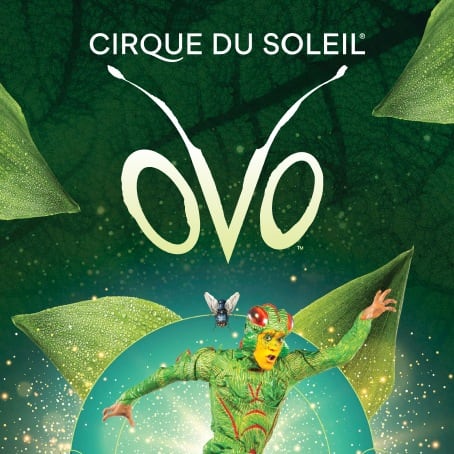 Shows in Dublin Cirque du Soleil