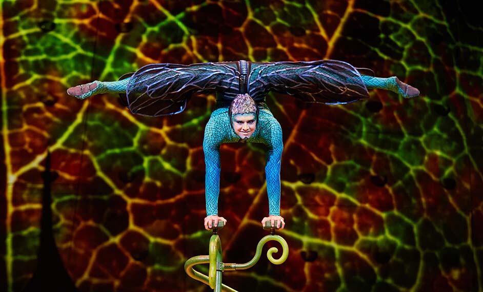 Ovo cirque du soleil билеты