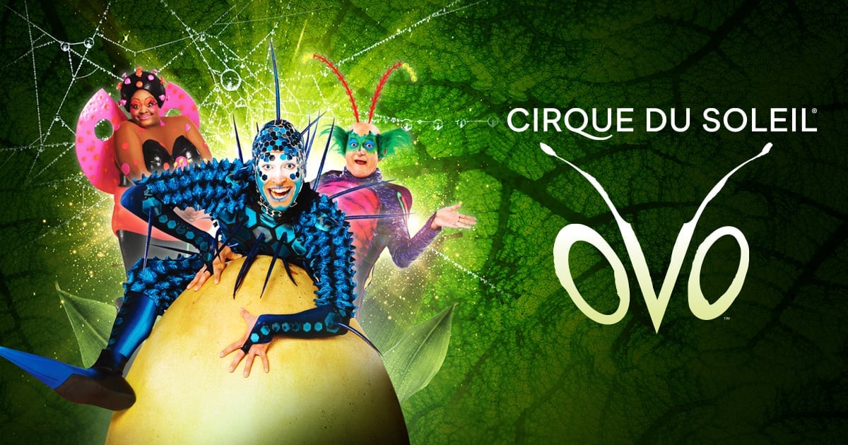 cirque du soleil ovo age appropriate